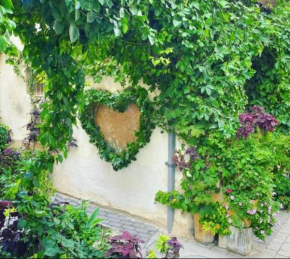neve tzedek heart
